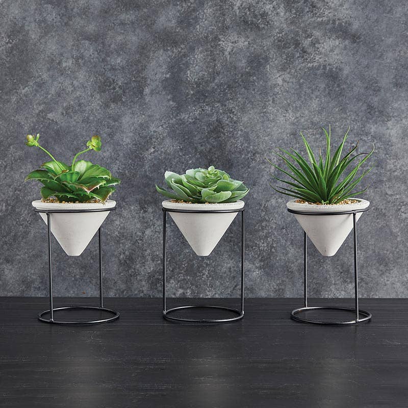 Plants with Iron stand -