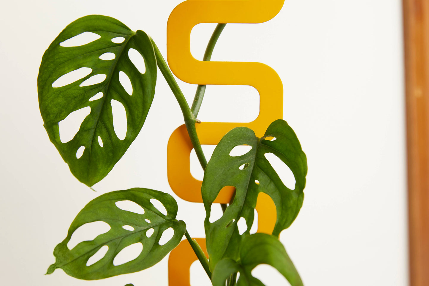 Houseplant Grow Pole – Recyclable Metal Support for Climbing Plants