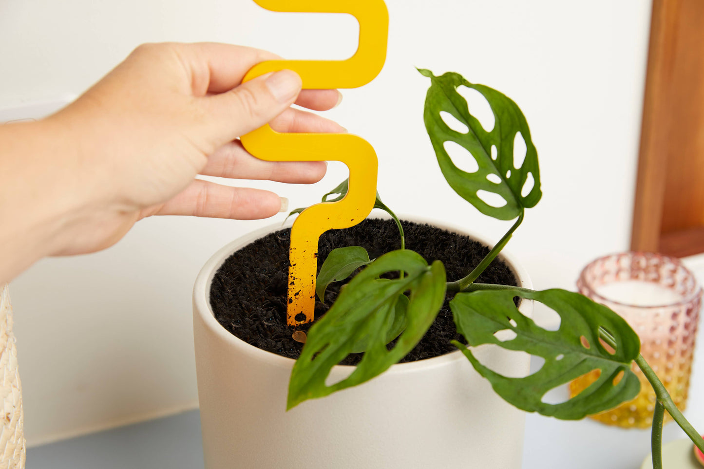 Houseplant Grow Pole – Recyclable Metal Support for Climbing Plants