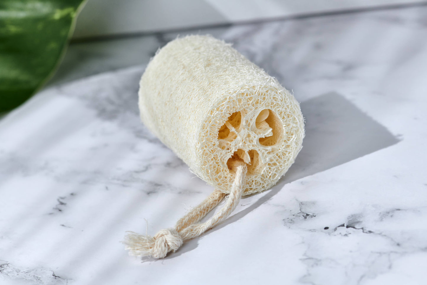 Natural Loofah Exfoliating Slices – Plastic-Free, Unpackaged