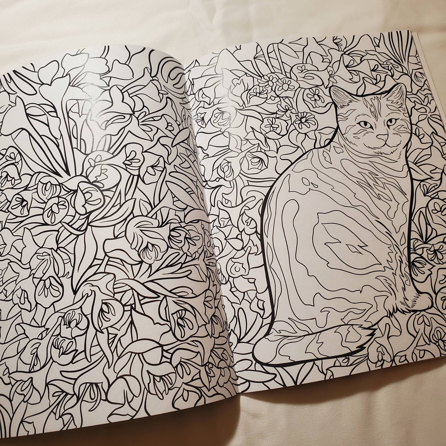 Coloring Book: "Cats & Plants"