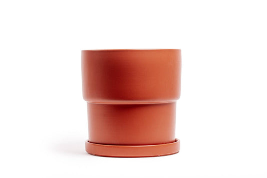 6.25" Calyx Pots w/Water Saucers