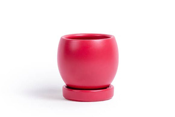 4.25" Watermelon Pots – Limited Edition