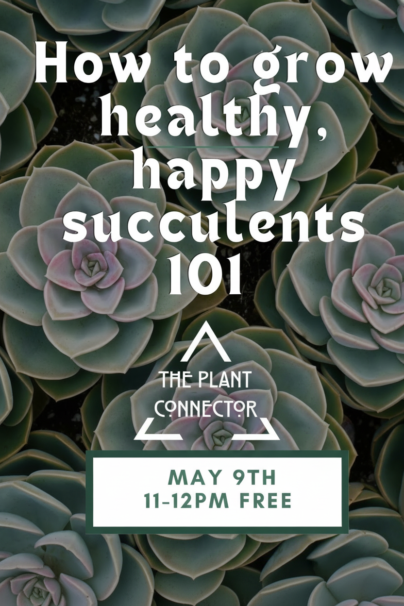 Succulent 101 May 9th 11-12