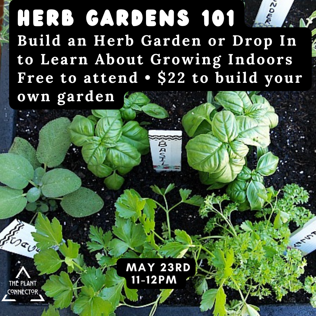 Herb Garden Bar: Grow Indoors 101