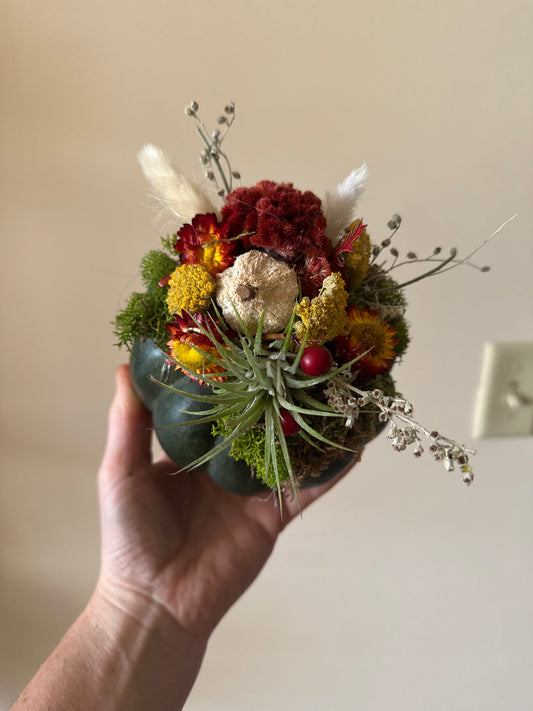 Air Plant Pumpkin Decorating