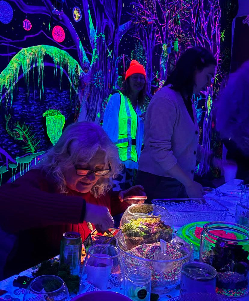 Spooky Cemeterriums Air Plant Terrarium Experience