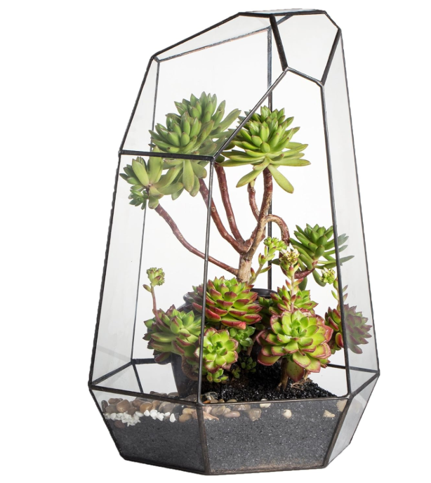 Glass Terrarium/ DIY Glass Terrarium Kit – Build Your Own Miniature Garden