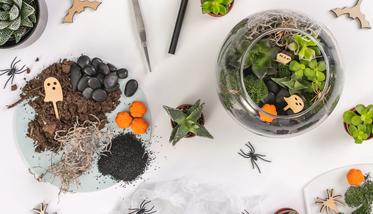 Spooky Cemeterriums Air Plant Terrarium Experience