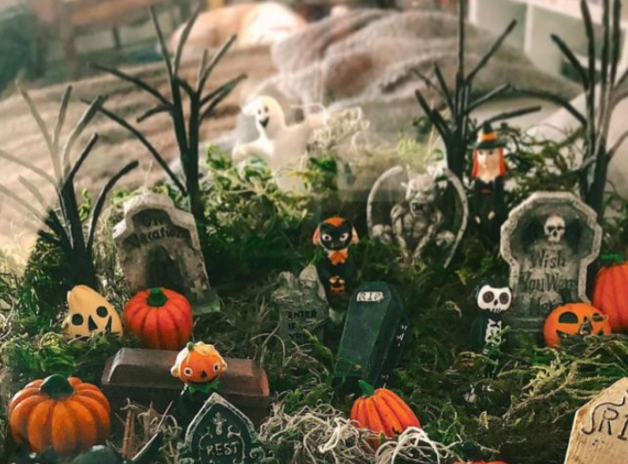 Spooky Cemeterriums Air Plant Terrarium Experience