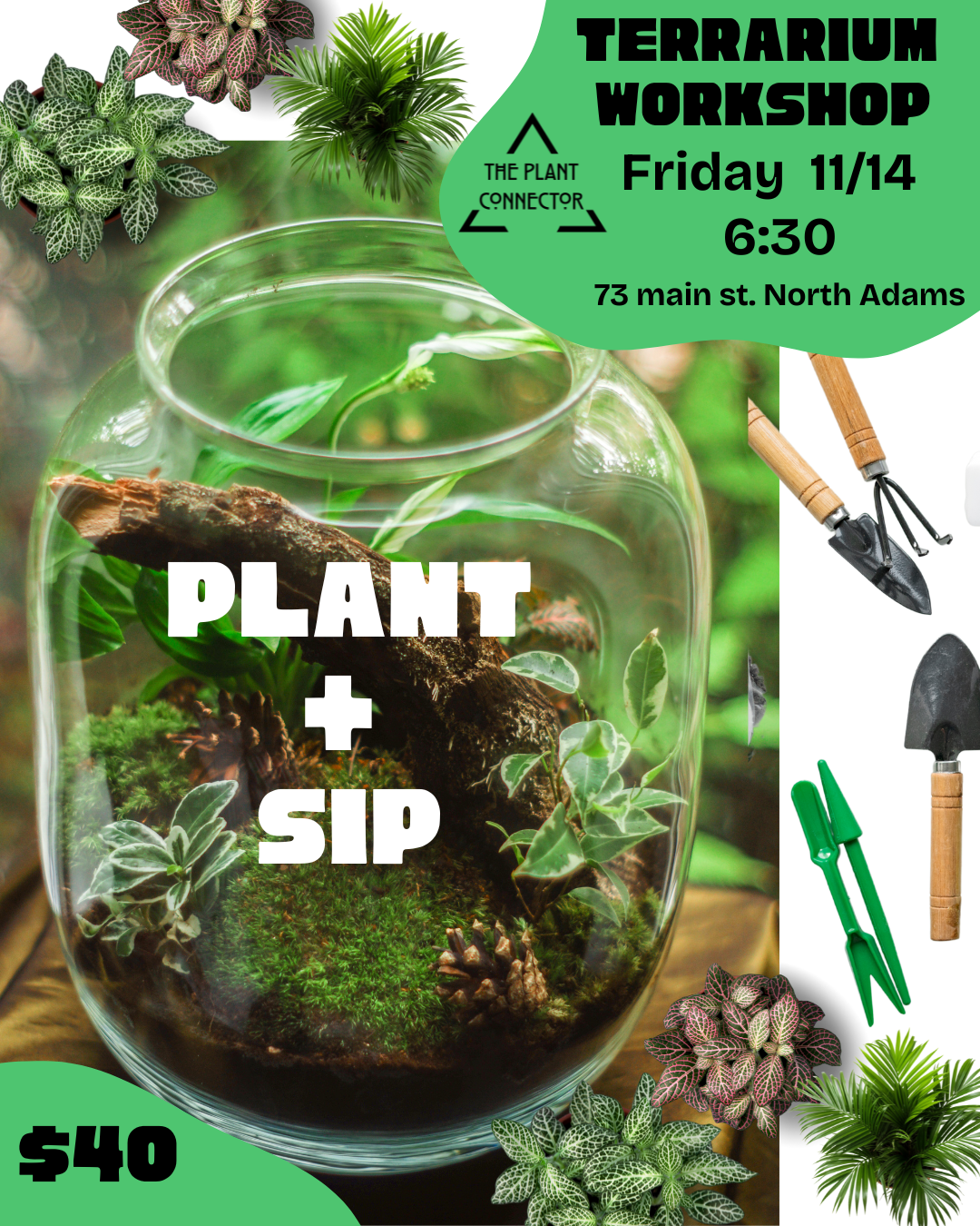 Terrarium Plant + Sip Nov 14th
