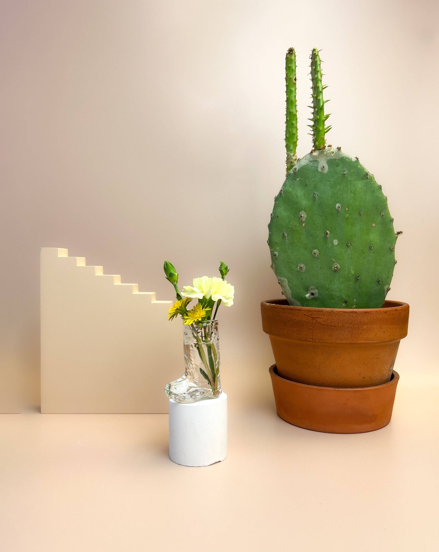 Cowboy Boot Shot Glass - Cor Air plant holder