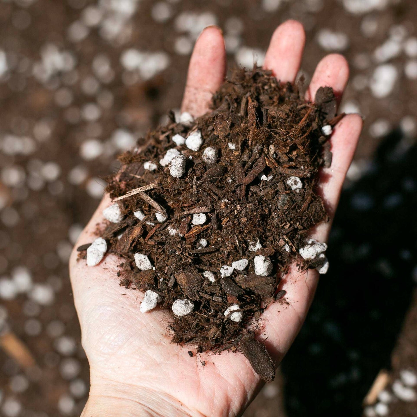 Premium Houseplant Potting Soil Mix