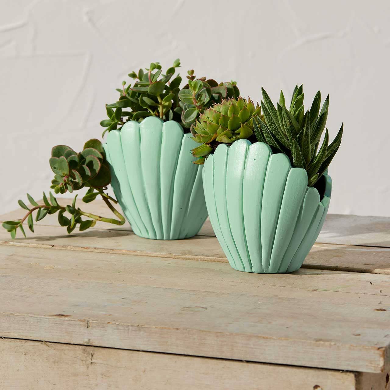Small Seashell Terracotta Planter