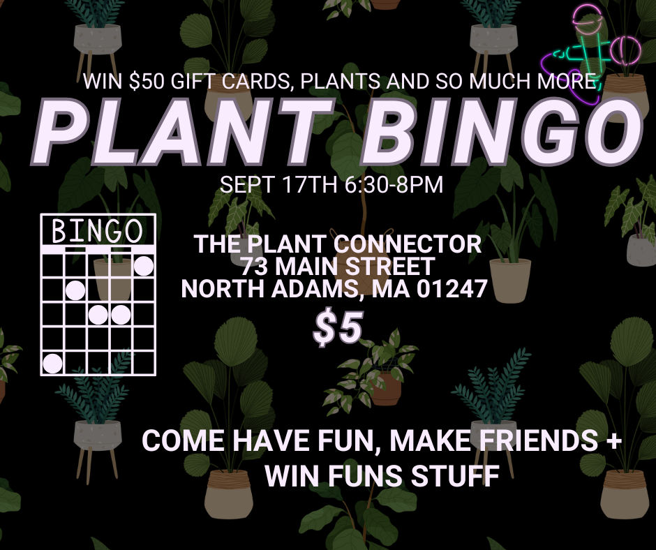 Planty Bingo!