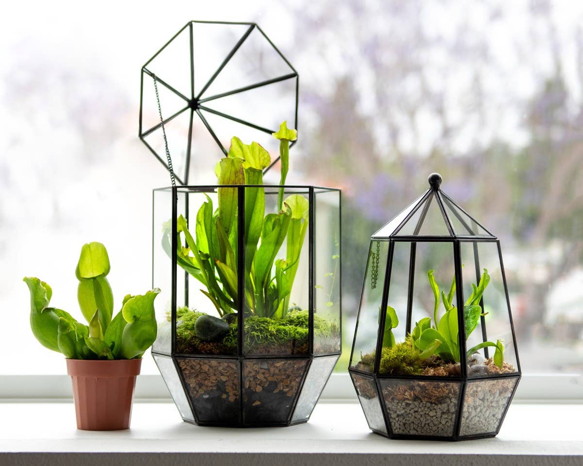 Glass Terrarium/ DIY Glass Terrarium Kit – Build Your Own Miniature Garden