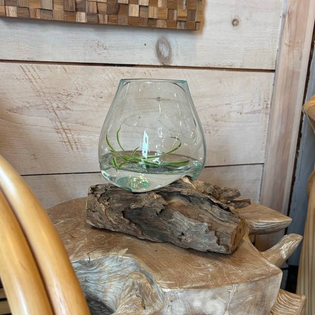 Small Glass & Driftwood Terrarium (approx. 10"x 6" x 8"h)