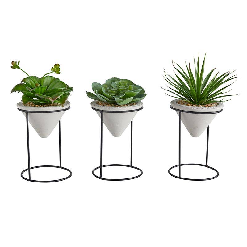 Plants with Iron stand -