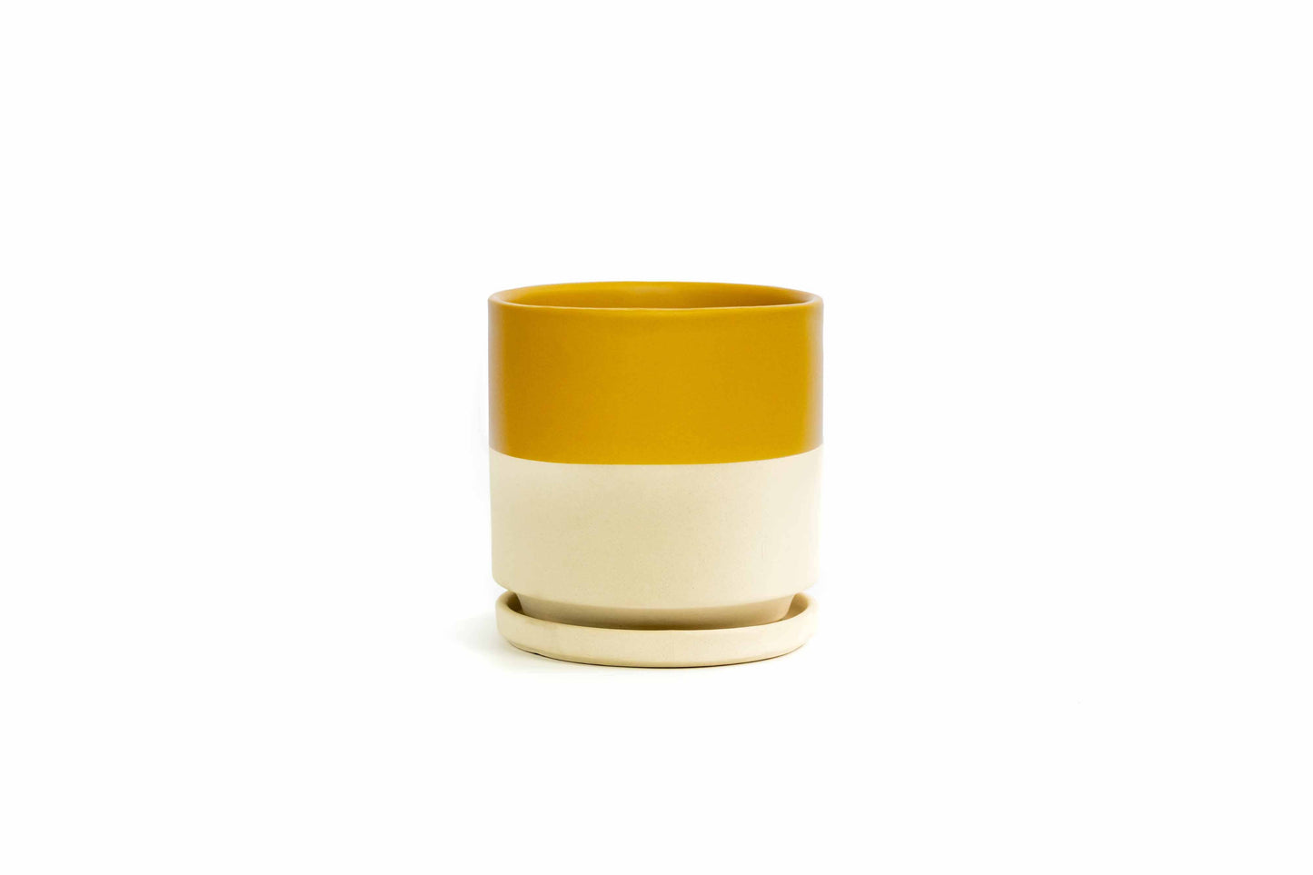 6.5" Gemstone Cylinder Pots with Water Saucers