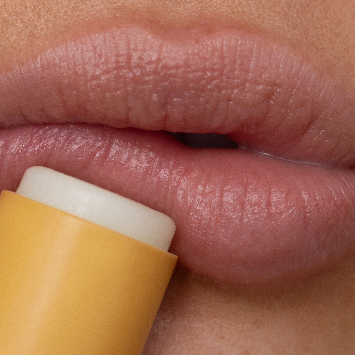 Lemon Bloom Lip Balm | Natural, Eco-Friendly, Cruelty-Free