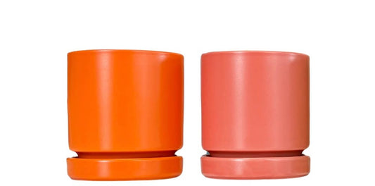 4.5" Citrus Collection Cylinder Pots with Water Saucers