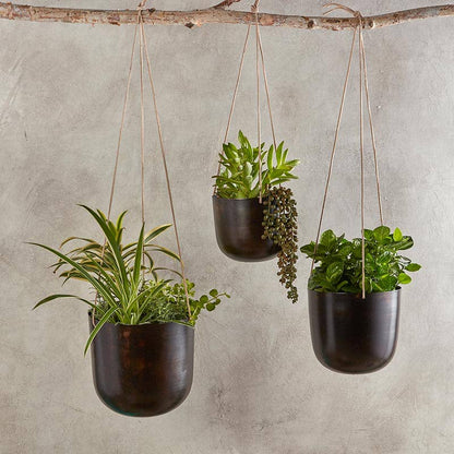 Hanging Vase - Medium