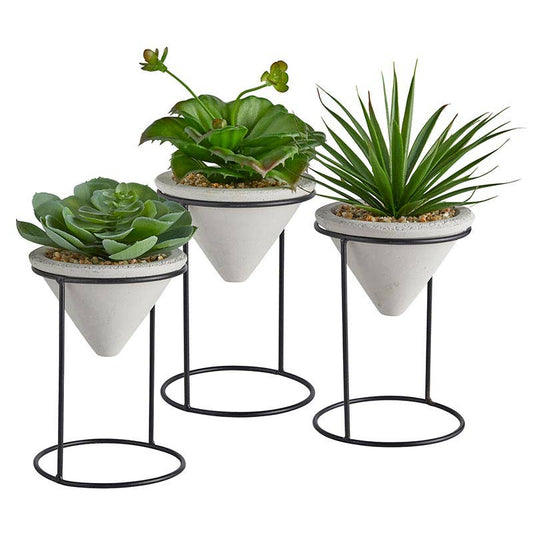 Plants with Iron stand -