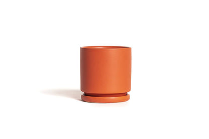 6.5" Gemstone Cylinder Pots with Water Saucers