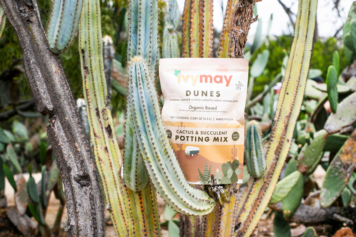 Organic Cactus & Succulent Potting Soil Mix