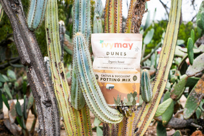 Organic Cactus & Succulent Potting Soil Mix