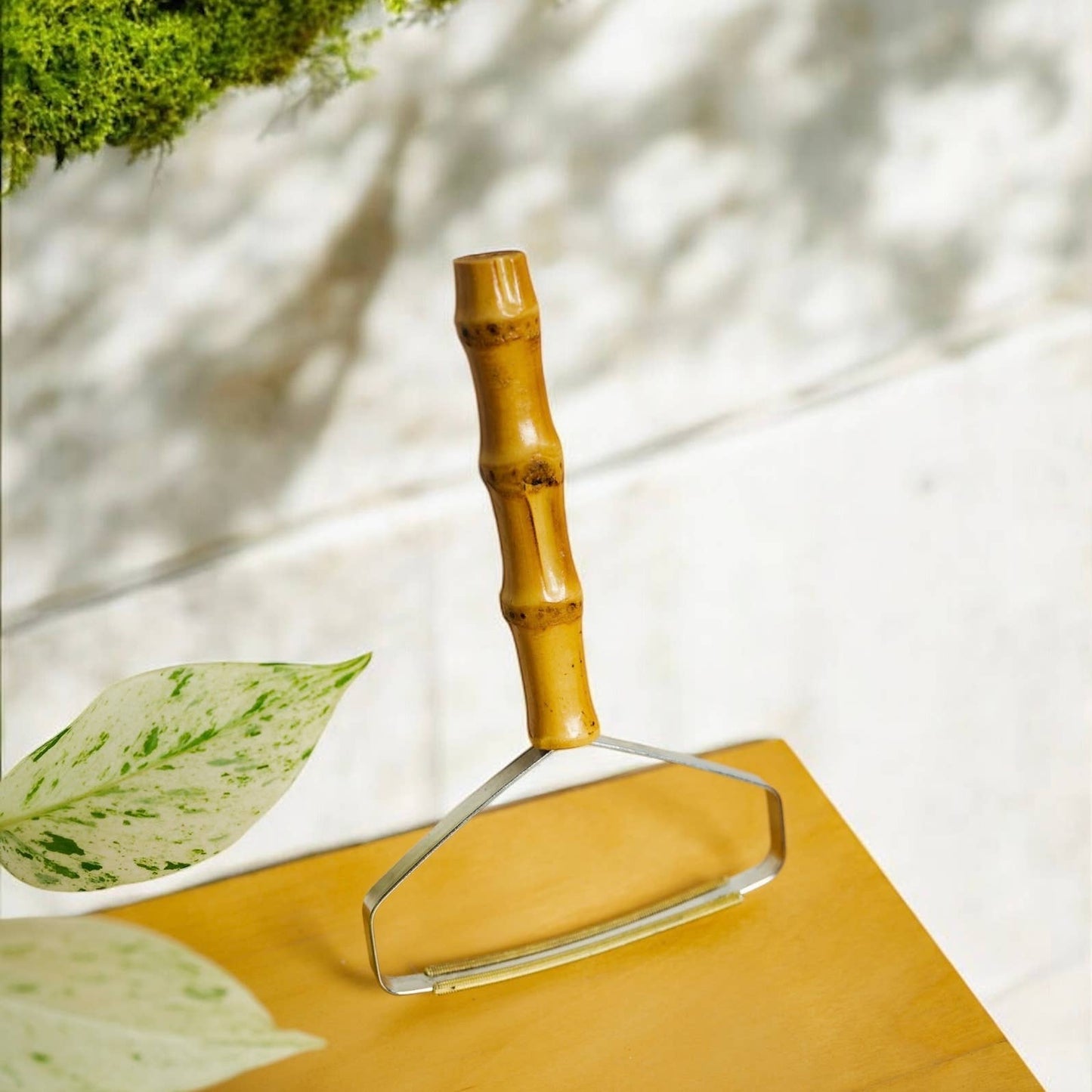 Bamboo Carpet Lint Remover |