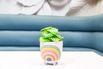 Sm Rainbow Planter w/Legs-4" H