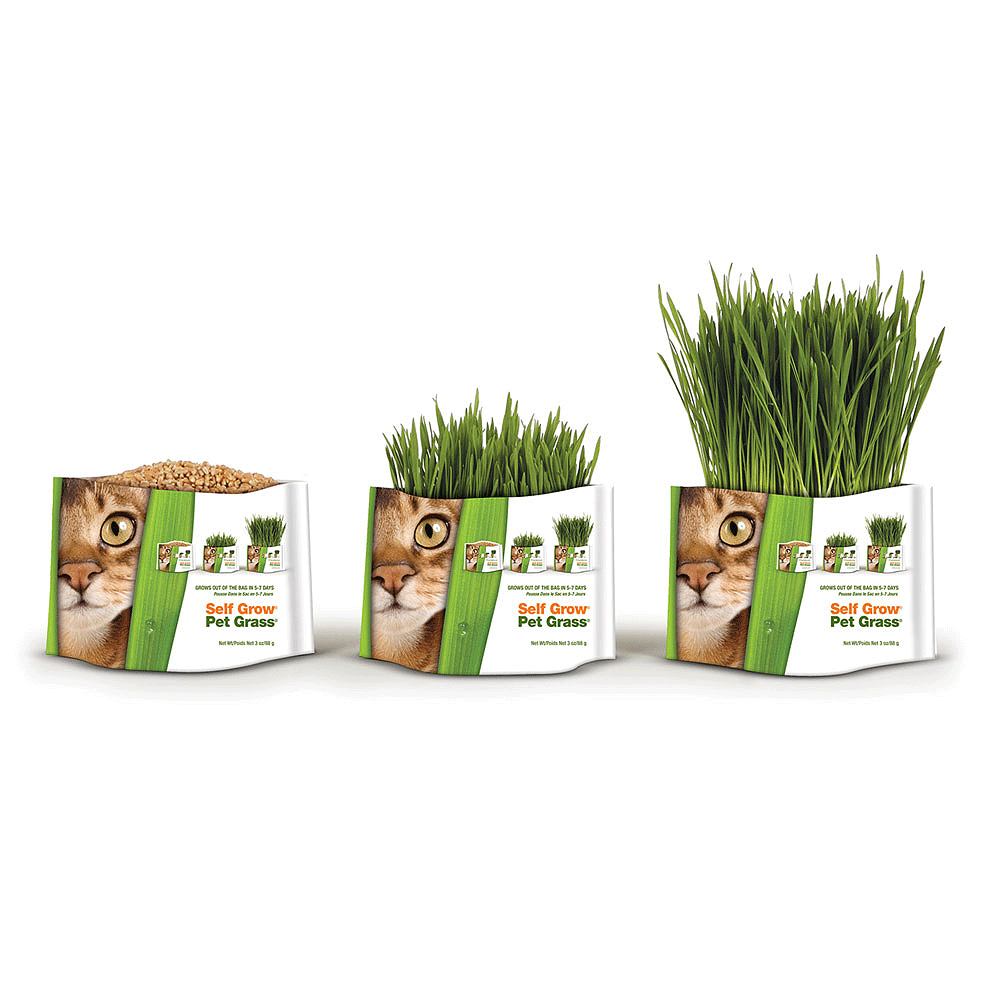 Pet Greens Medley Cereal Grass Blend