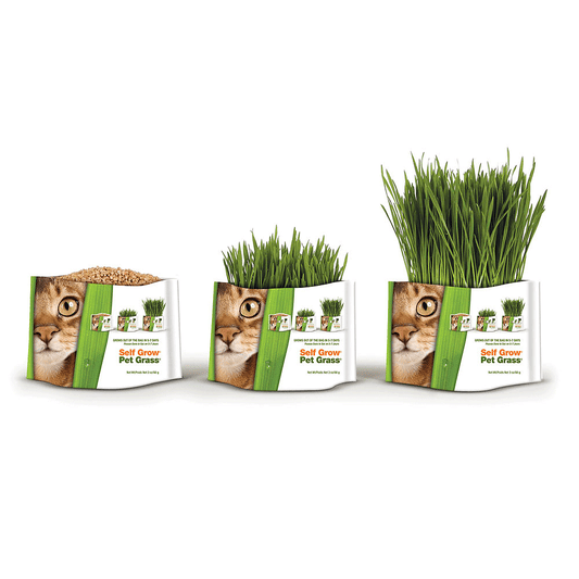 Pet Greens Garden Wheat Grass
