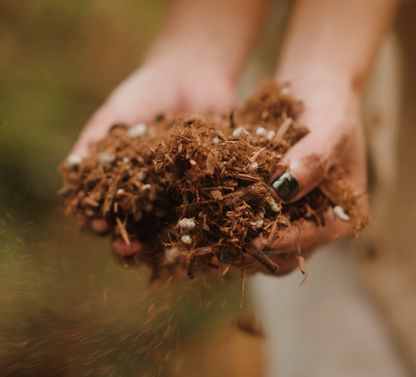 Premium Houseplant Potting Soil Mix