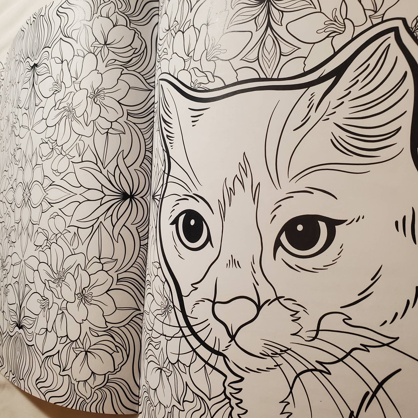 Coloring Book: "Cats & Plants"