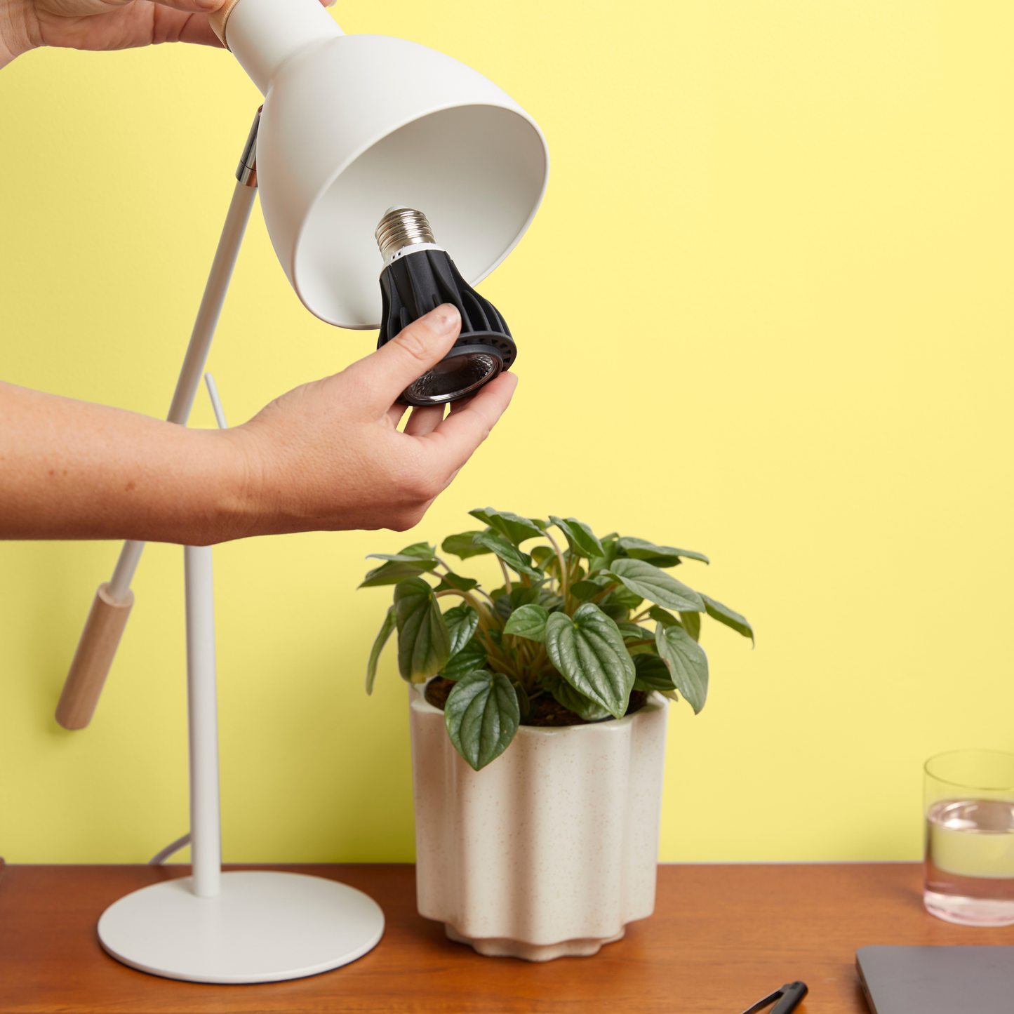 Instant Sun Grow Bulb