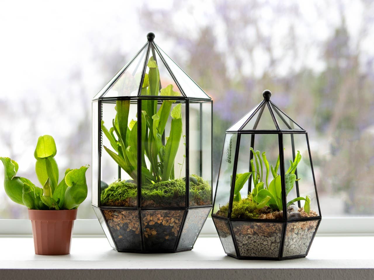 Glass Terrarium/ DIY Glass Terrarium Kit – Build Your Own Miniature Garden