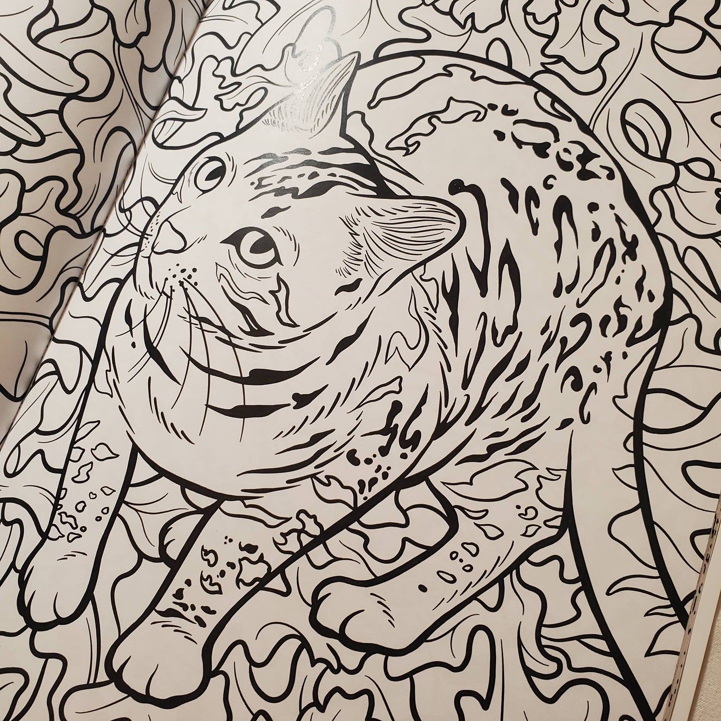 Coloring Book: "Cats & Plants"