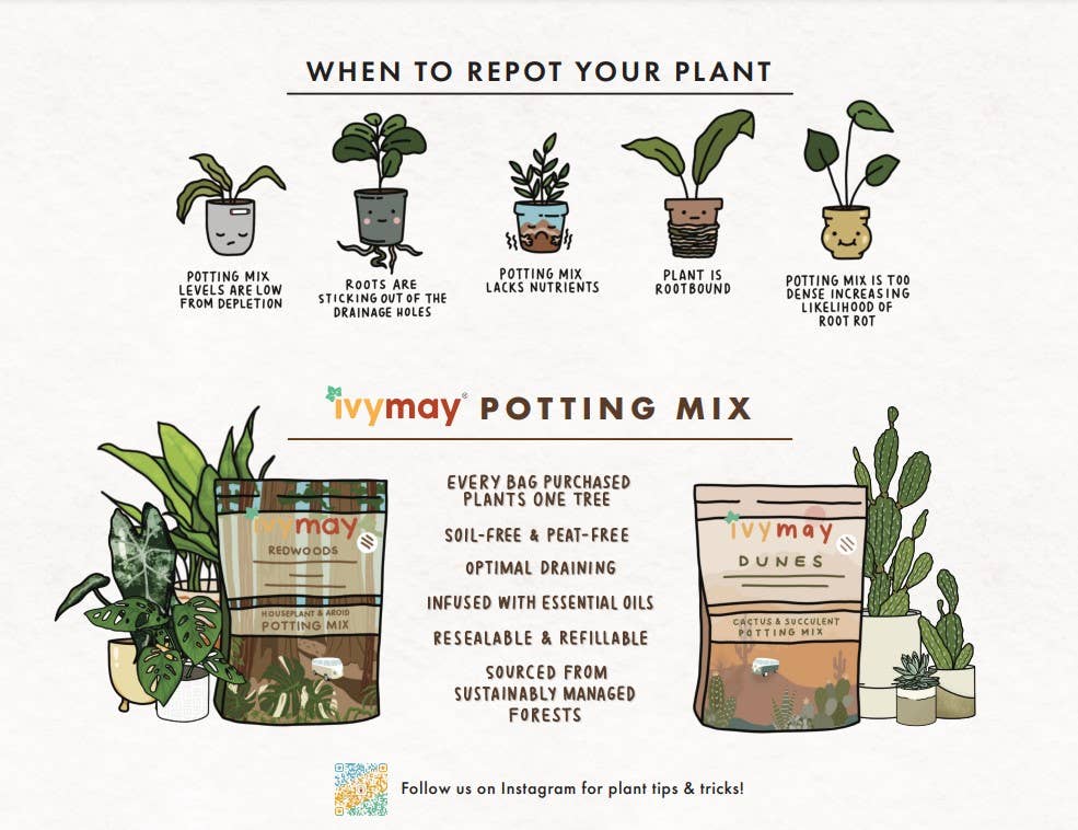 Premium Houseplant Potting Soil Mix