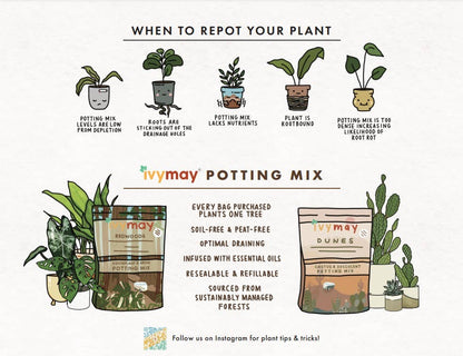 Premium Houseplant Potting Soil Mix