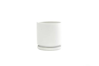 4.5" Gemstone Cylinder Pots with Water Saucers