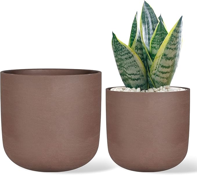 Repotting Service – In-Store Drop-In