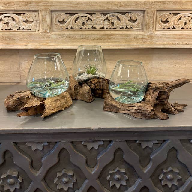 Small Glass & Driftwood Terrarium (approx. 10"x 6" x 8"h)