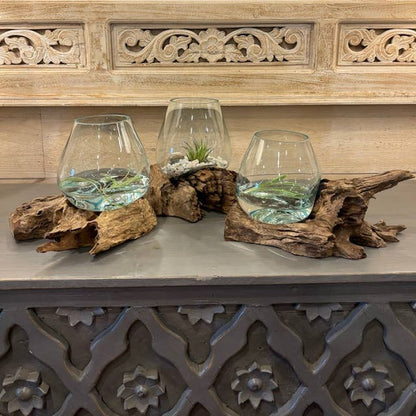 Small Glass & Driftwood Terrarium (approx. 10"x 6" x 8"h)
