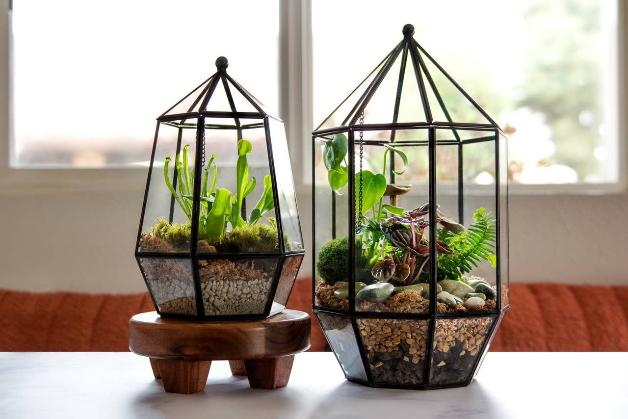 Glass Terrarium/ DIY Glass Terrarium Kit – Build Your Own Miniature Garden