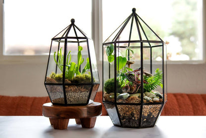 Glass Terrarium/ DIY Glass Terrarium Kit – Build Your Own Miniature Garden