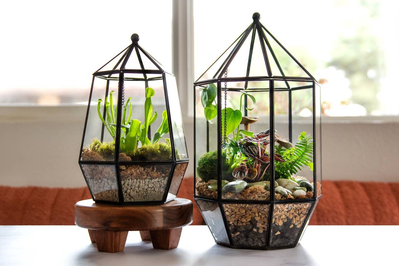 Glass Terrarium/ DIY Glass Terrarium Kit – Build Your Own Miniature Garden