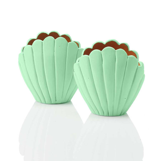 Small Seashell Terracotta Planter