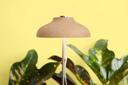 Instant Sun Grow Lamp – Soil-Stake Light for Indoor Plants (Eco-Friendly Bamboo)